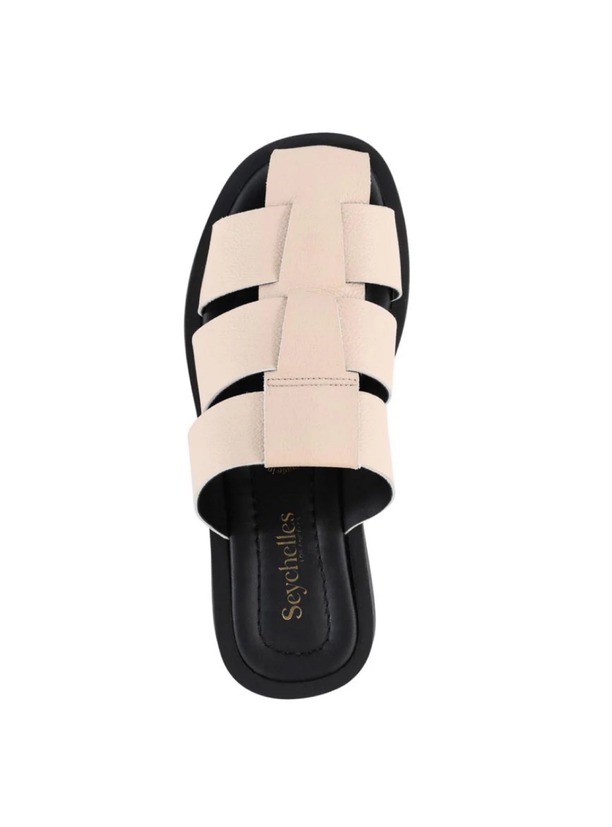 Seychelles High Standard Platform Mule