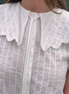 Cutest Collar In Town Top