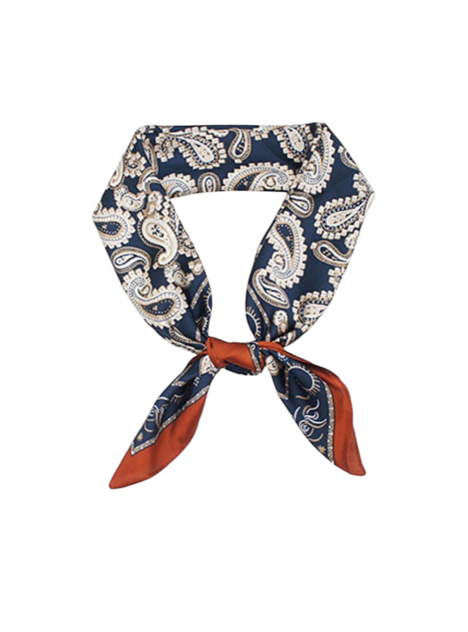 Feeling Paisley-Perfect Border Scarf