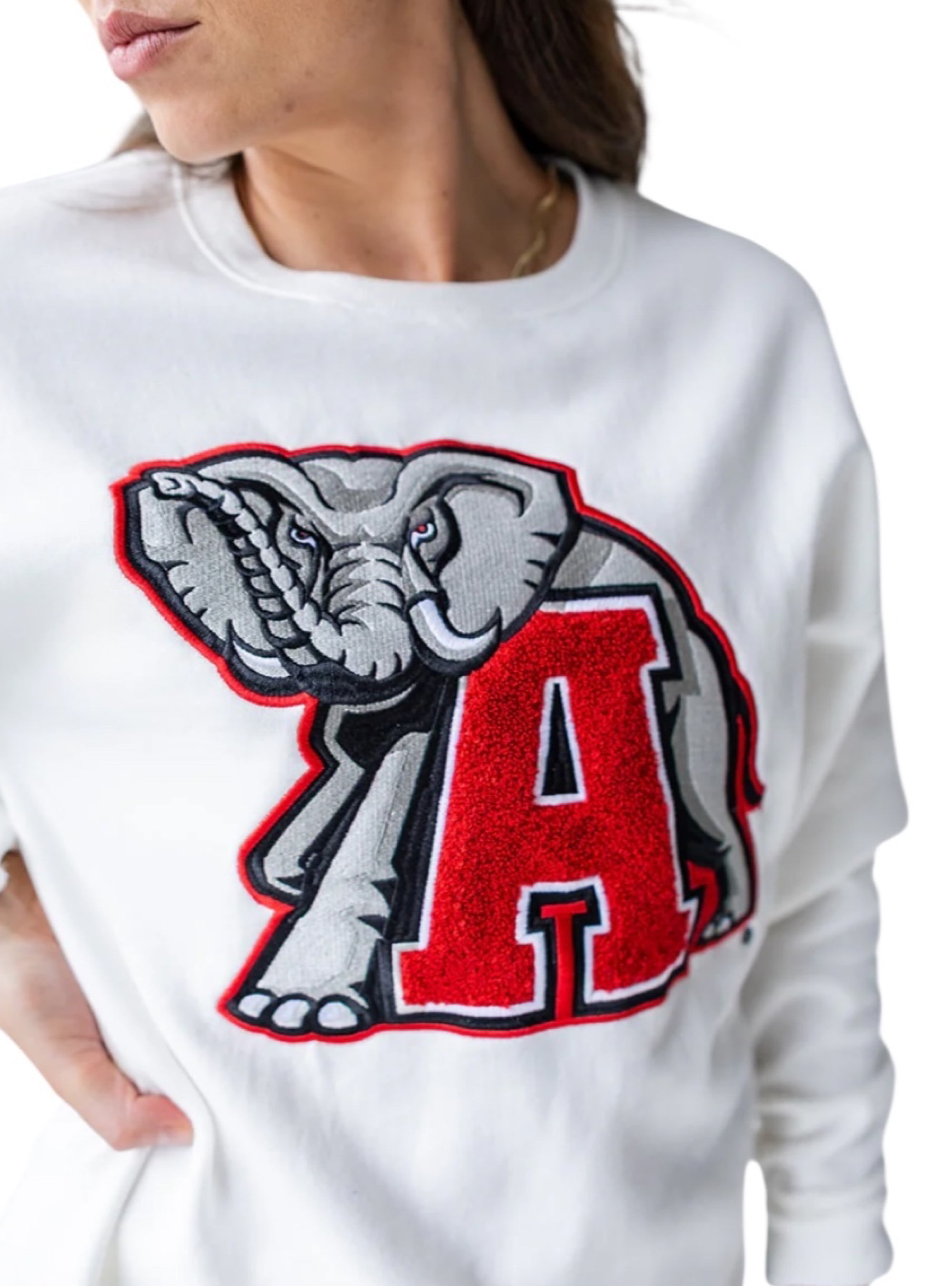 Game Day Social Big Al Sweatshirt