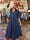 Lior Amber Pointed Collar Dress - Embossed Denim