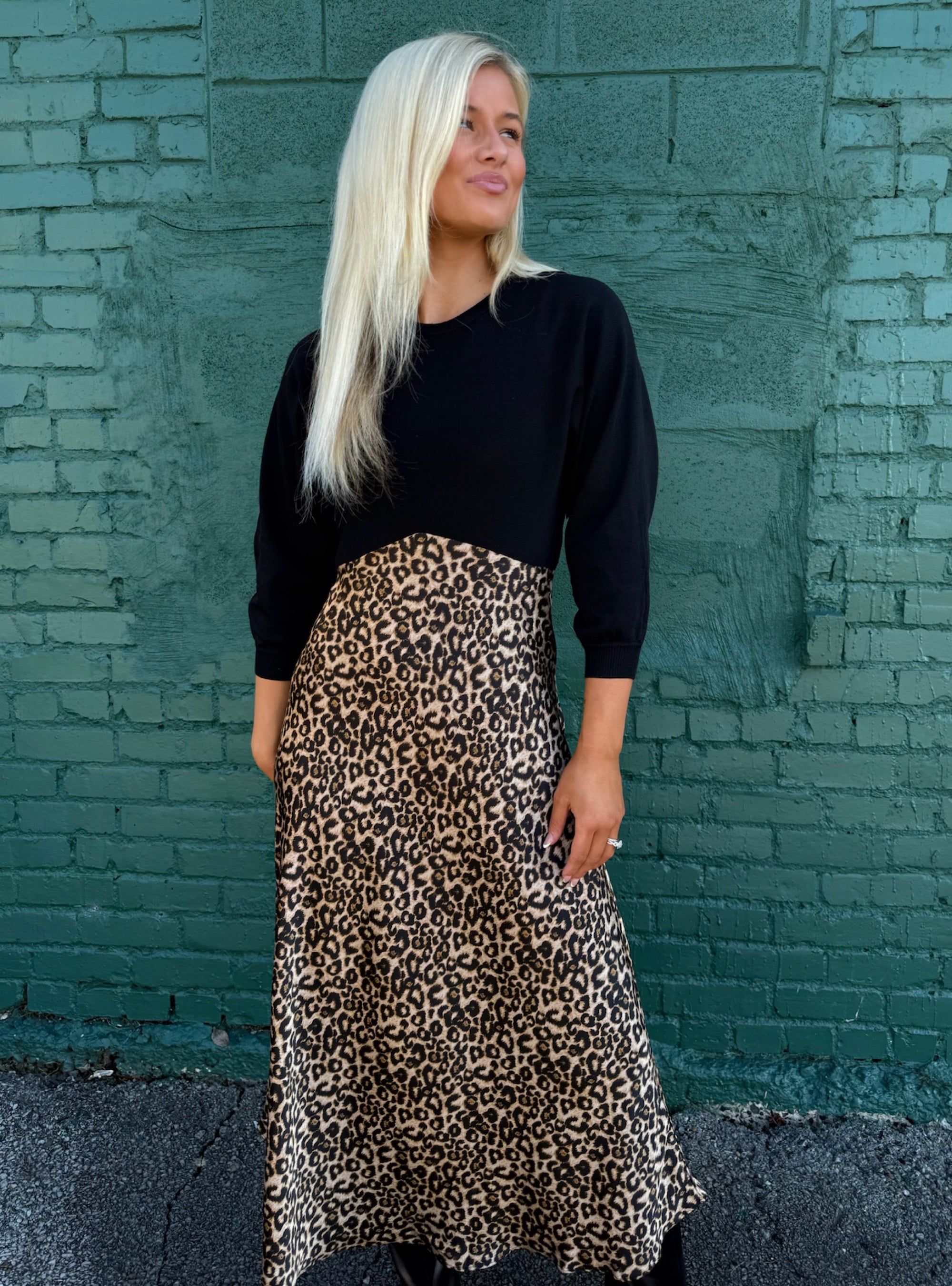 Spot Me If You Can Dress