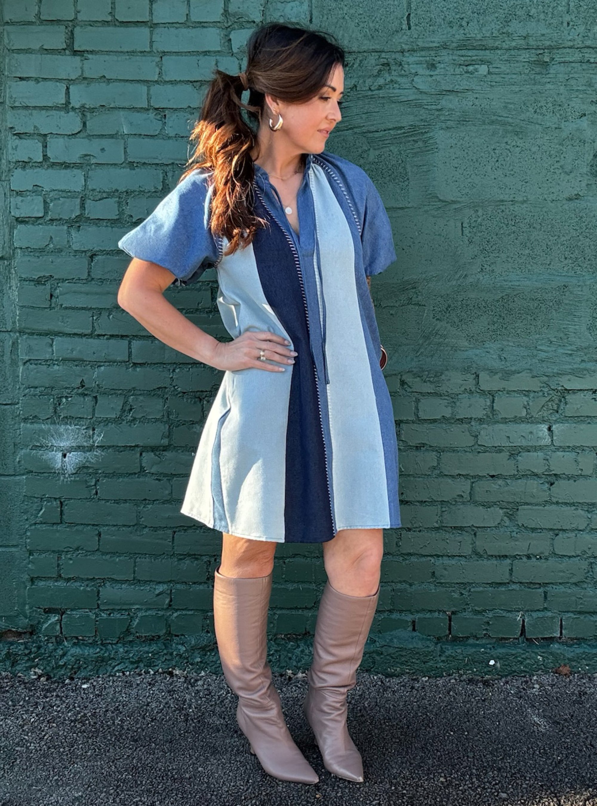 Denim If You Dare Two-Tone Dress