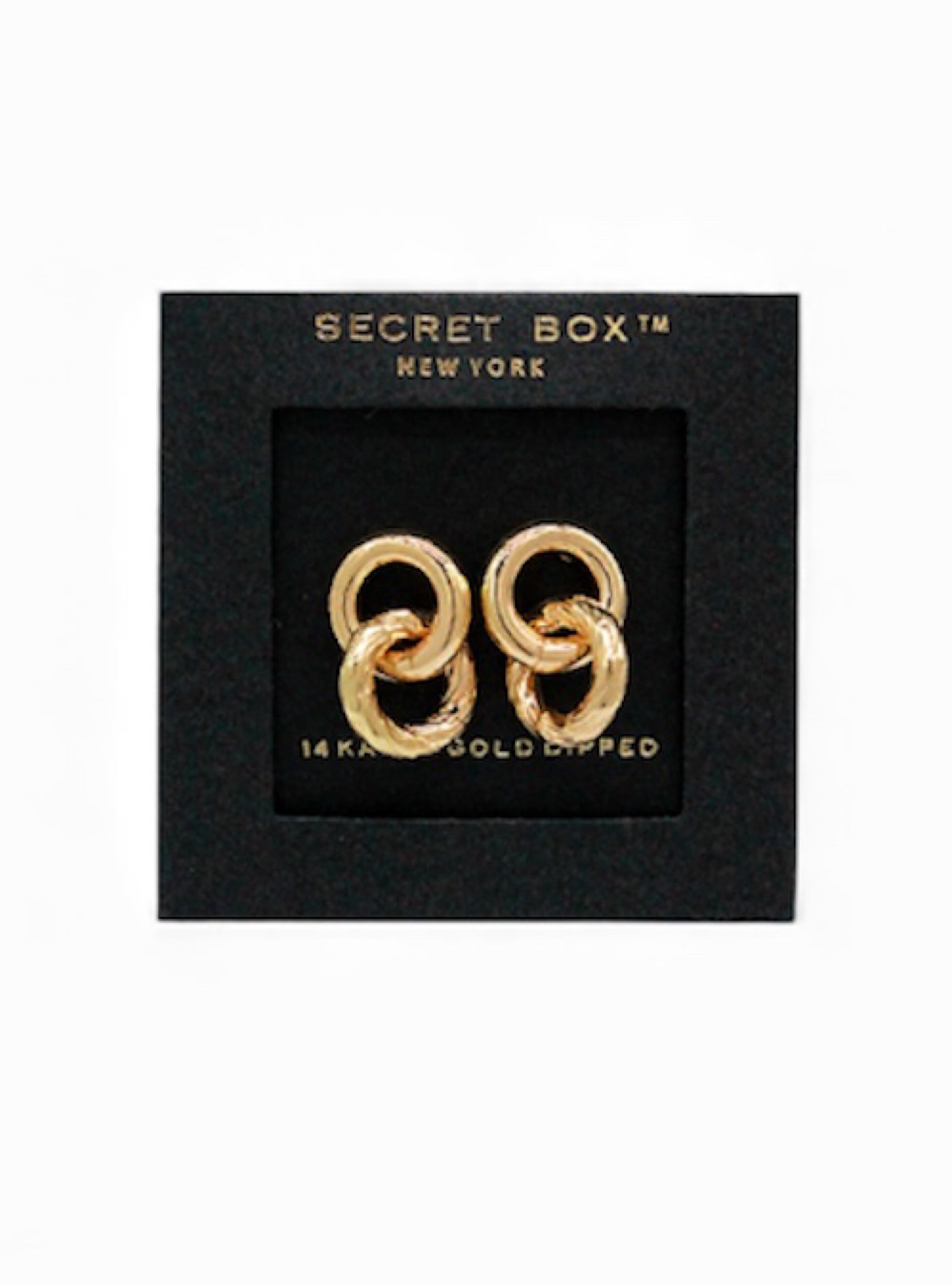 Linked In Luxe Earrings