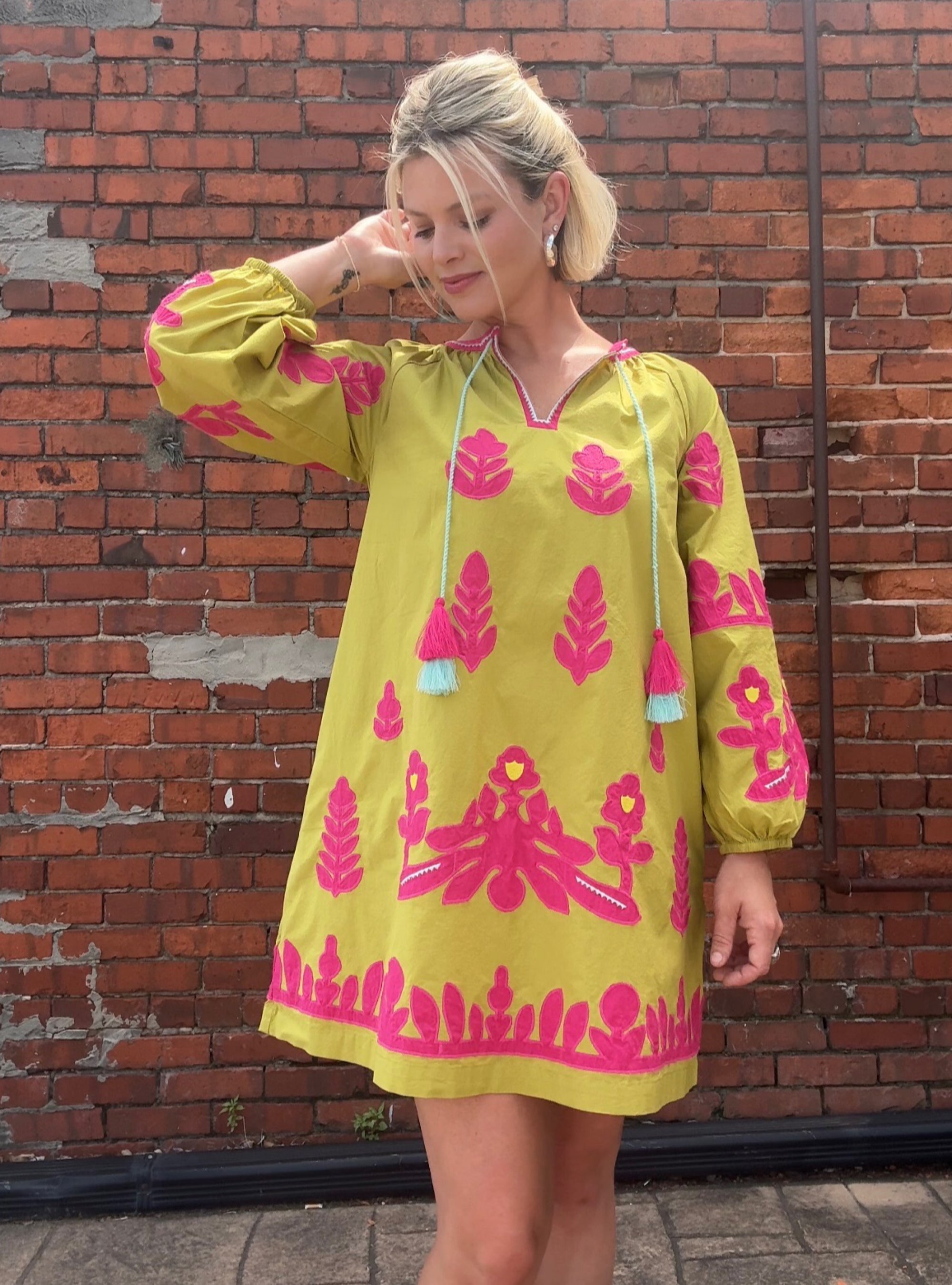 Ivy Jane Bold &amp; Bright Appliqué Dress
