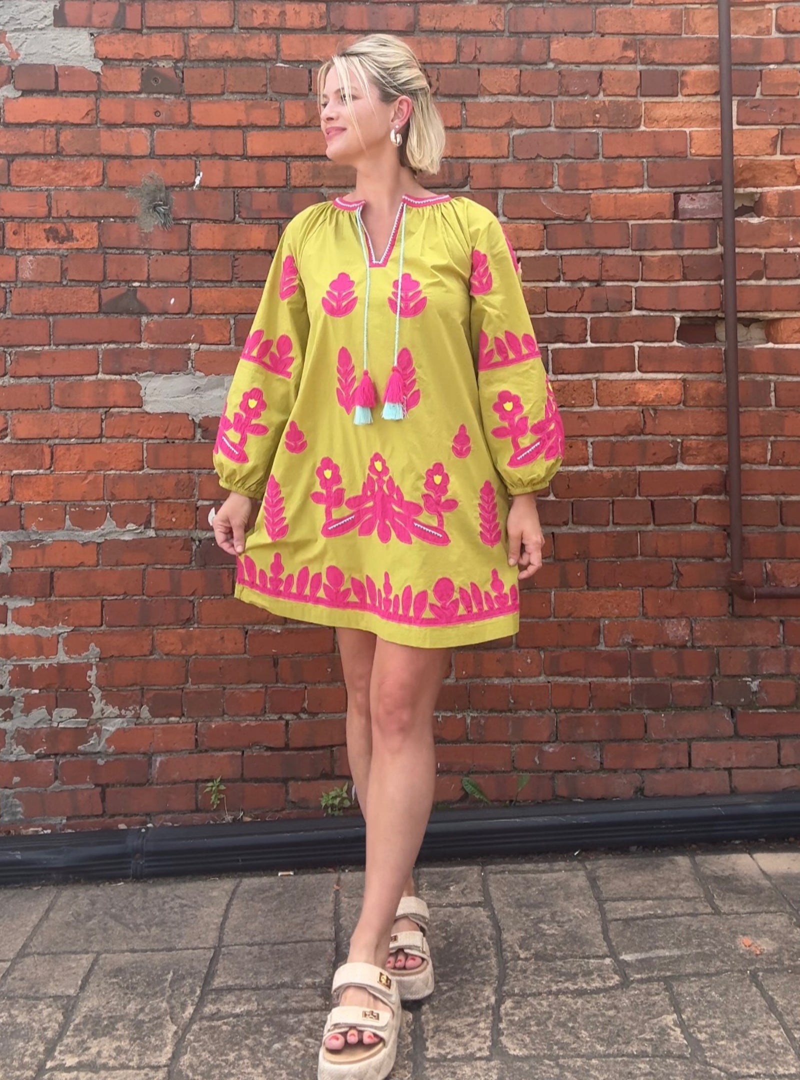 Ivy Jane Bold & Bright Appliqué Dress