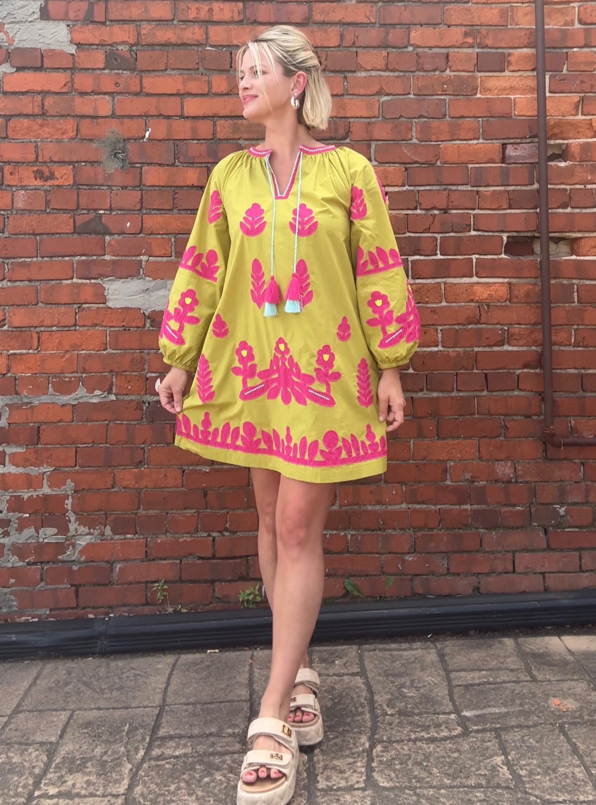 Ivy Jane Bold & Bright Appliqué Dress