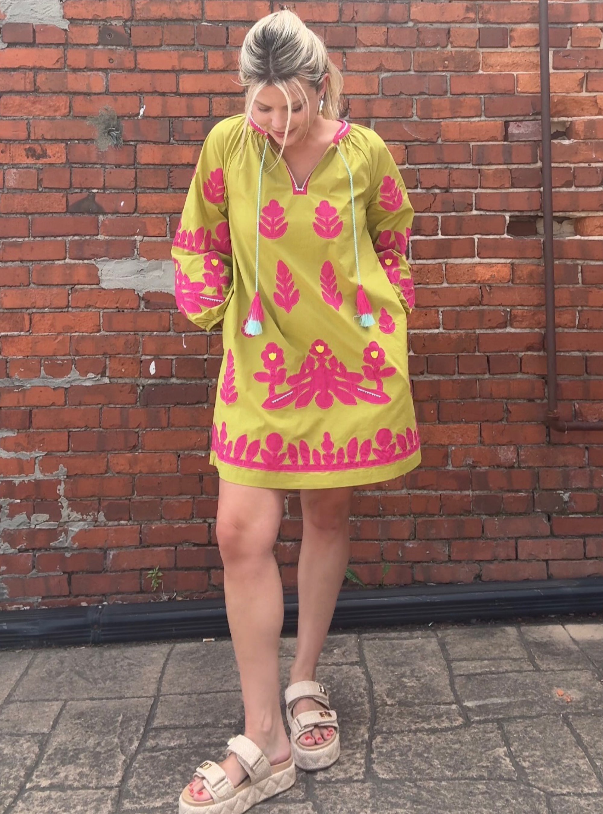 Ivy Jane Bold &amp; Bright Appliqué Dress
