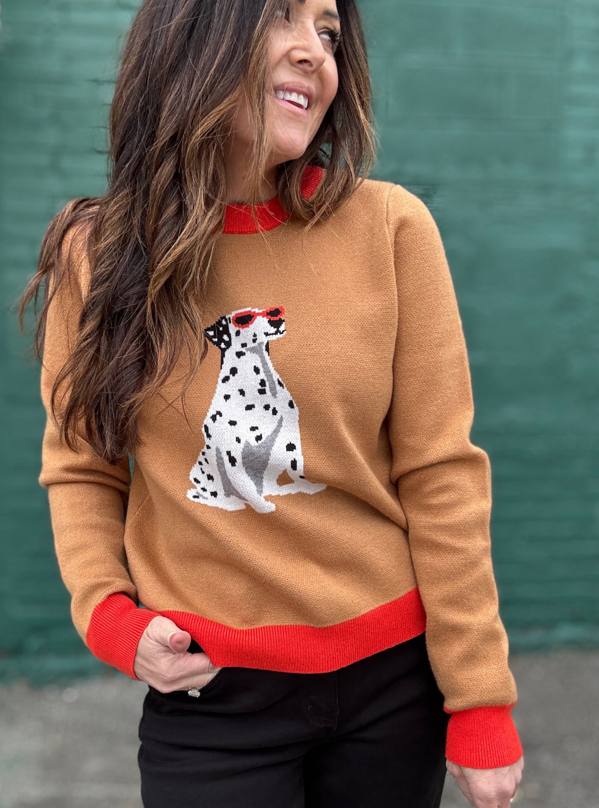 Unleash The Cozy Dog Sweater