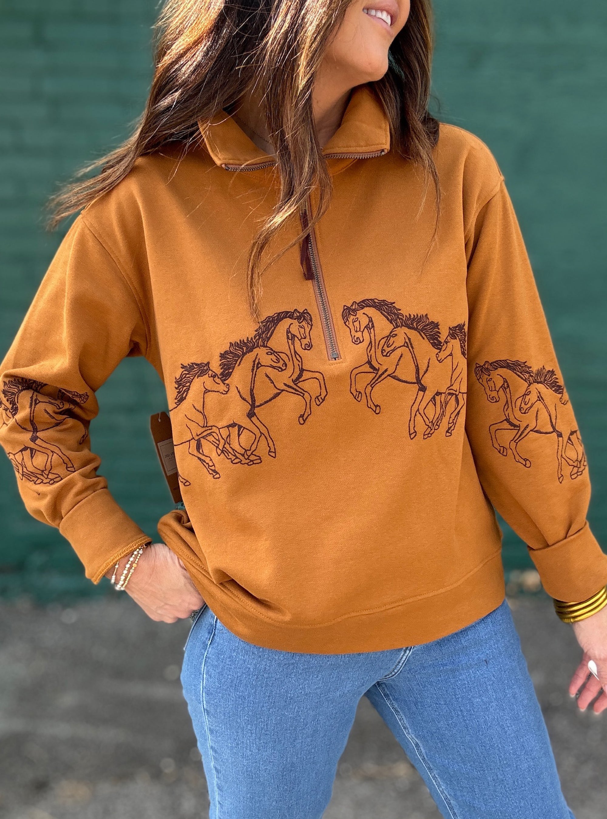 Tru Luxe Horse Embroidered Half Zip Pullover