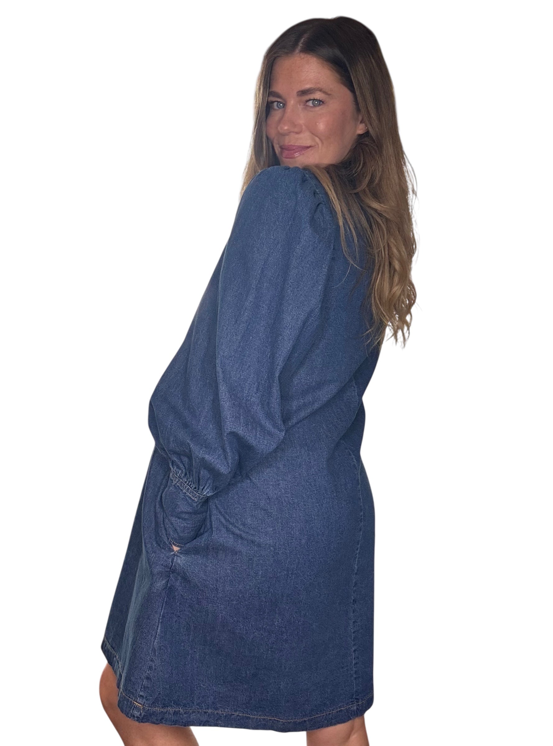 Denim Delight Dress